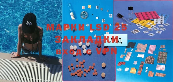 крисы Каменногорск
