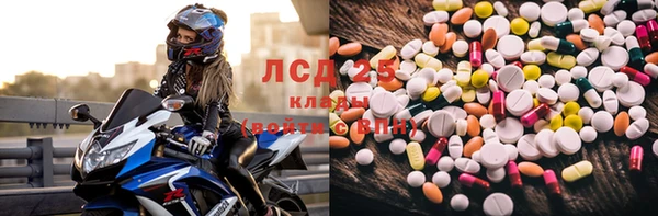хмурый Каменка
