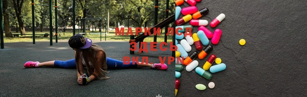 хмурый Каменка