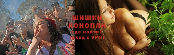 крисы Каменногорск