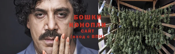 хмурый Каменка